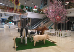 farma
